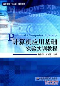 计算机应用基础实验实训教程 软件开发入门实践